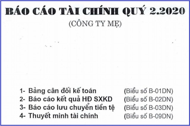 Báo cáo tài chính quý 2 năm 2020